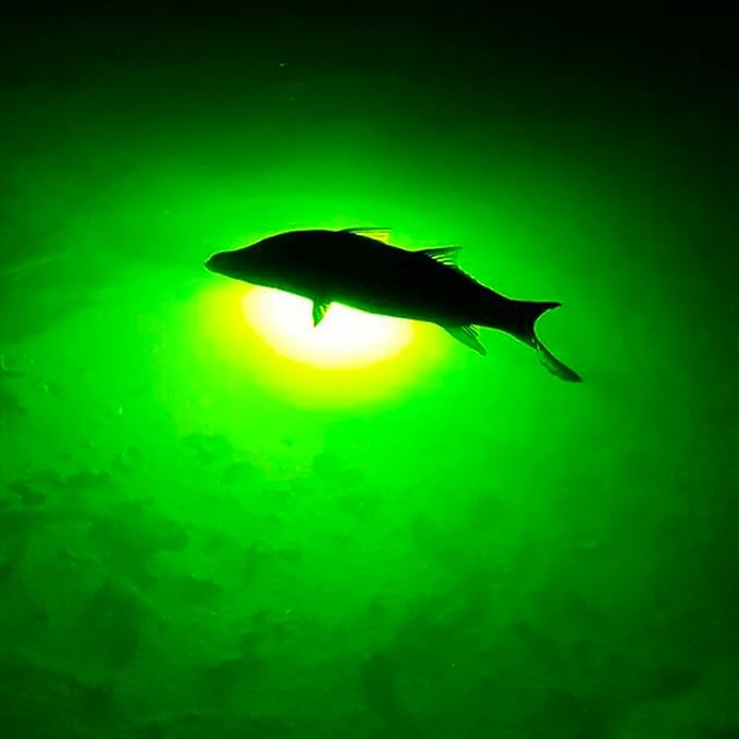 Underwater Fish Light 175-watt Single Dock Light for Fresh or Salt Water, Easy to Install, Attracts Fish, Dusk to Dawn Operation