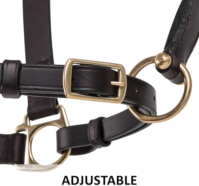 Dura-Tech Premier Lancaster Leather Halter for Horses | Simple Economy Leather Halter with Adjustable Fit & Solid Brass Hardware