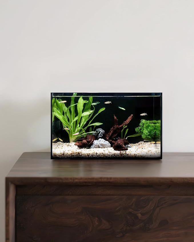 5 Gallon Clear Glass Fish Tank, Easy to Maintain Small Aquariumfor Betta, Goldfish, Snail,Shrimp and Aquatic Planting