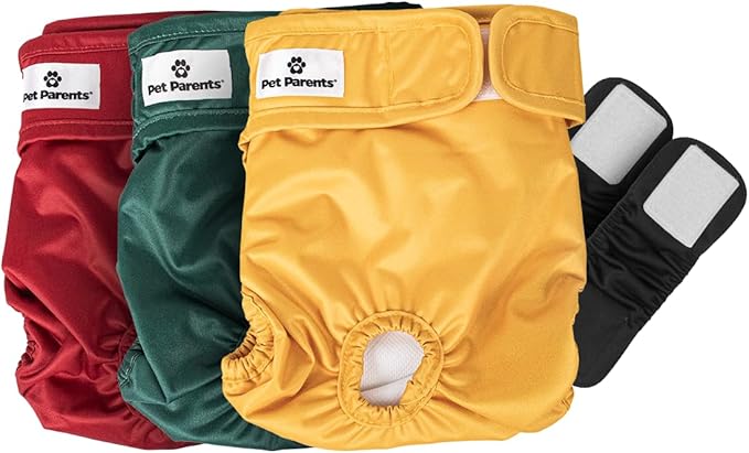 Pet Parents® Washable Dog Diapers (3pack) + Extendrs® of Durable Doggie Diapers, Premium Dog Diapers Female (Large, Samba)