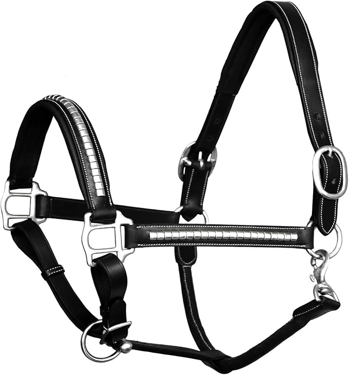 Exion Leather Horse Halter with Padding & Clincher Studs – Adjustable Quick‑Release Crownpiece Halter for Horses – Vegetable‑Tanned Leather in Black & Brown – Cob, Full & Oversize
