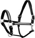 Exion Leather Horse Halter with Padding & Clincher Studs – Adjustable Quick‑Release Crownpiece Halter for Horses – Vegetable‑Tanned Leather in Black & Brown – Cob, Full & Oversize
