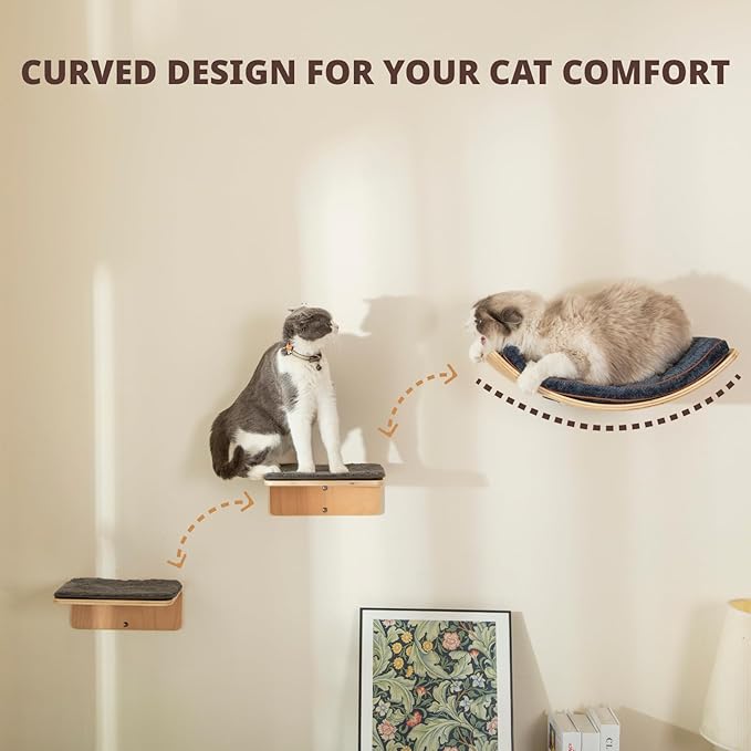 Cat Wall Shelf with Two Steps - Curved Cat Shelves and Perches for Wall (Large Size) - Wall Mounted Cats Furniture for Sleeping, Playing, Climbing, and Lounging
