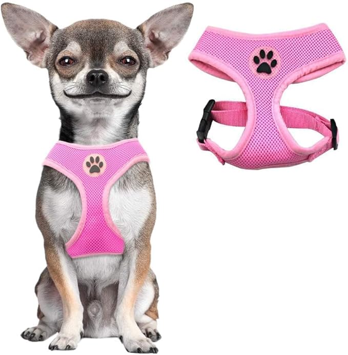 BINGPET Small Dog Harness - Breathable Mesh Puppy Cat Harnesses - No Pull Adjustable Dog Harness Dog Vest Harness for Small and Medium Dogs