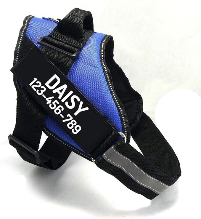 PawPawify Custom No Pull Dog Harness with Name and Phone Number, Heavy Duty Personalized Pet Vest to Prevent Tugging, Pulling, or Choking, Training and Walking (Blue, XL (60-85 LBS))