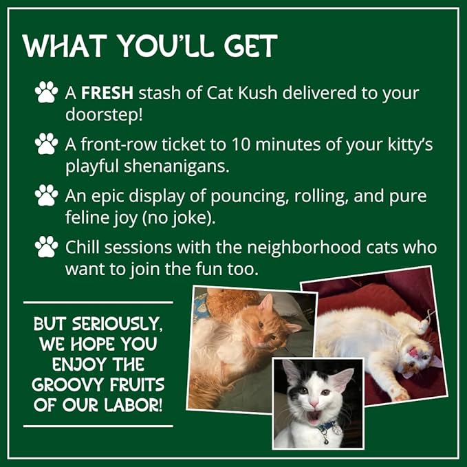 Organic Catnip by Cat Kush, Safe Premium Blend Perfect for Cats, Instilled with Maximized Potency your Kitty is Guaranteed to Go Crazy for! (1 Cup)
