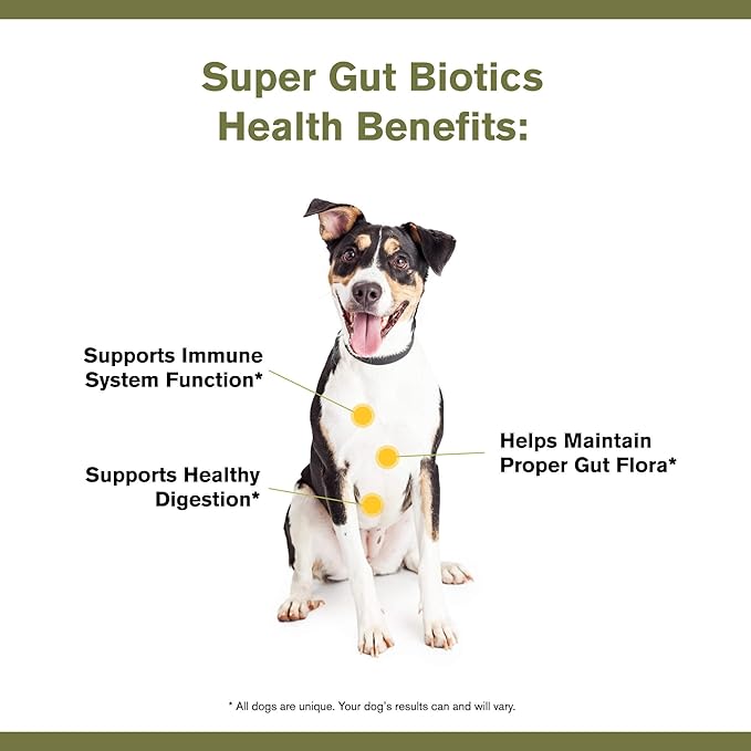 Super Gut Biotics Canine Digestive Supplement,Probiotics, Prebiotics, Supports Healthy Digestion, Immune System Function and Gut Flora by Katherine Heigl (30 Scoops)