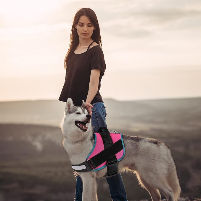 Bolux Dog Harness, No-Pull Reflective Dog Vest, Breathable Adjustable Pet Harness with Handle for Outdoor Walking - No More Pulling, Tugging or Choking Large (Pack of 1) RoseTurquoise