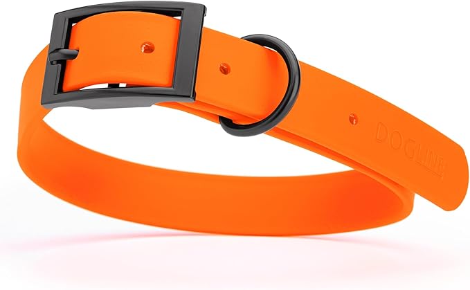 Dogline Biothane Waterproof Dog Collar Strong Coated Nylon Webbing with Black Hardware Odor- Proof for Easy Care Easy to Clean High Performance Fits Small Medium or Large Dogs, Hunter Orange