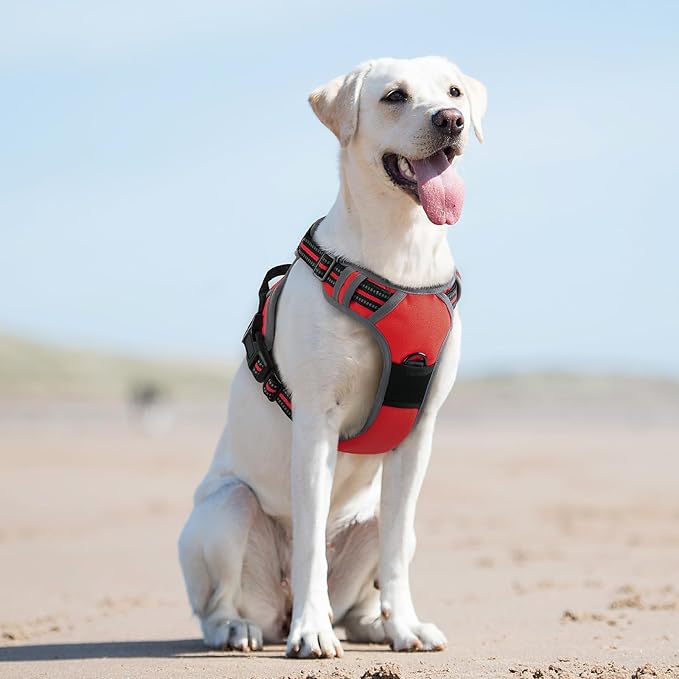 Eagloo Dog Harness for Large Dogs, No Pull Service Vest with Reflective Strips and Control Handle, Adjustable and Comfortable for Easy Walking, No Choke Pet Harness with 2 Metal Rings, Red, L