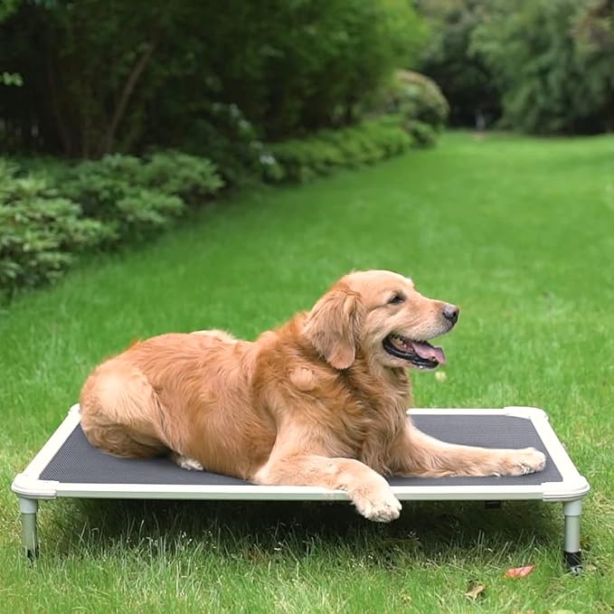 Veehoo Chew Proof Elevated Dog Bed - Cooling Raised Pet Cot - Silver Aluminum Frame and Durable Textilene Mesh Fabric, Unique Designed No-Slip Feet for Indoor or Outdoor Use, Grey, Large, CWC2003