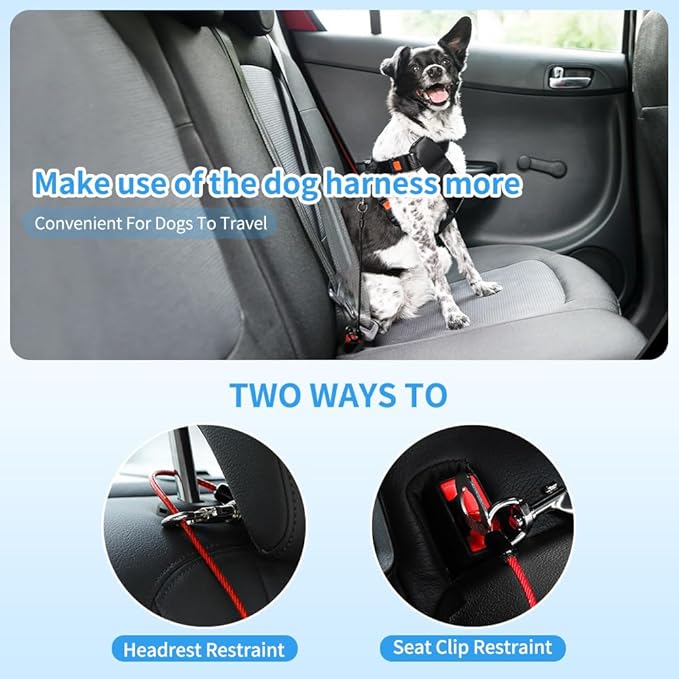 Dog Seat Belt Harness for Car,2pcs Dog Seatbelt of Coated Wire Leash Safety Restraint,No Chew Tether Cable Vehicle Dog Accessories,Double Clips & Latch (2 Pack Black, 16 inch/40 CM)
