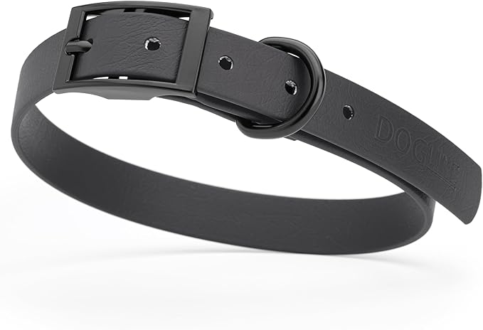 Dogline Biothane Waterproof Dog Collar Strong Coated Nylon Webbing with Black Hardware Odor- Proof for Easy Care Easy to Clean High Performance Fits Small Medium or Large Dogs, Black