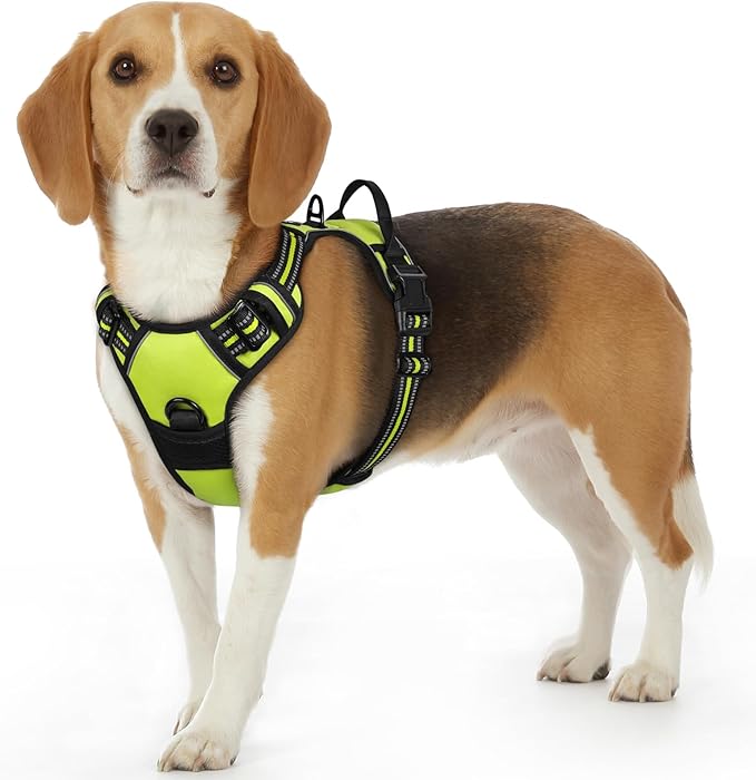 Eagloo Dog Harness Small Sized Dog, No Pull Service Vest with Reflective Strips and Control Handle, Adjustable and Comfortable for Walking, No Choke Pet Harness with 2 Metal Rings, Green, S