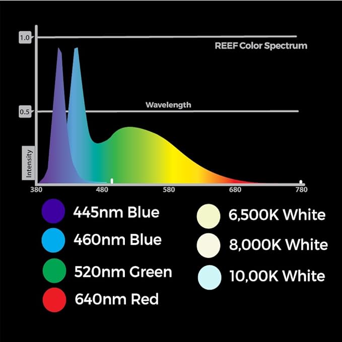 CURRENT USA 48 - 60" Inch Orbit Marine LED Saltwater Reef Marine Aquarium Light | 24 Hour IR Lighting & eFlux Wave Pump Control | Adjustable Color Spectrum for Fish Tank (4103)
