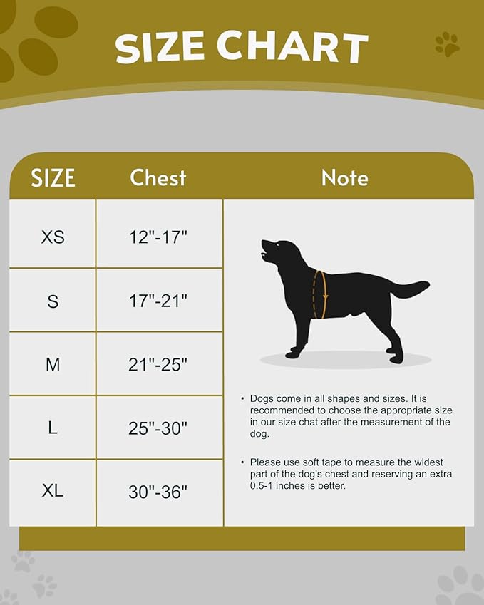 MIDOG No-Pull Dog Harness | Adjustable & Reflective Pet Harness Leash Set for Small Medium Large Dogs Walking, Training| No Choke, Front Clip, Soft Padded Vest with Easy Control Handle - Purple, M