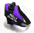PawPawify Custom No Pull Dog Harness with Name and Phone Number, Heavy Duty Personalized Pet Vest to Prevent Tugging, Pulling, or Choking, Training and Walking (Purple, XS (5-9LBS))