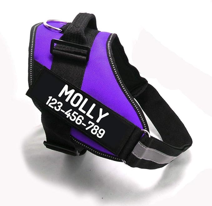 PawPawify Custom No Pull Dog Harness with Name and Phone Number, Heavy Duty Personalized Pet Vest to Prevent Tugging, Pulling, or Choking, Training and Walking (Purple, XS (5-9LBS))