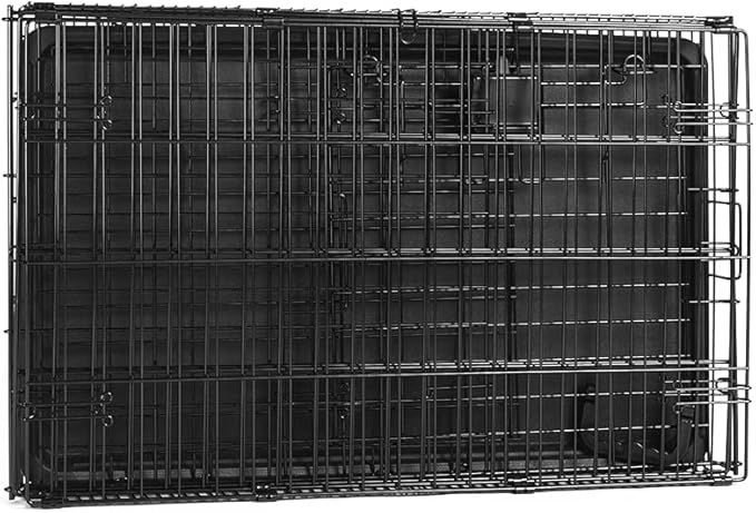 Amazon Basics Durable, Foldable, Collapsible, Portable Metal Wire Dog Crate with Tray, Single Door with Divider Panel, Easy to Assemble & Clean, 36 x 23 x 25 in, Black