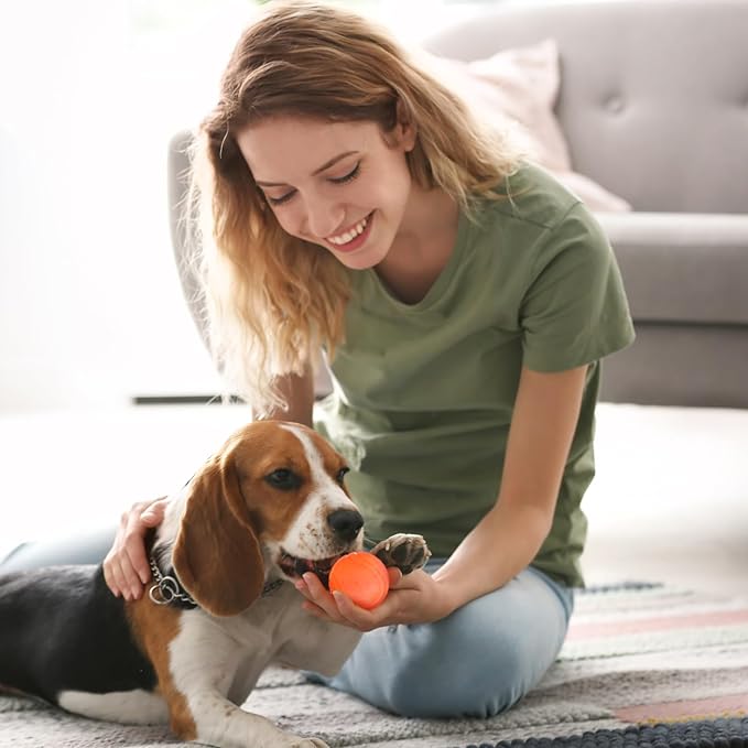 Jenaai 20 Pcs Indestructible Dog Toy Balls for Aggressive Chewers Chew Resistant Solid Rubber Bouncy Ball for Teeth Cleaning, 2in/5cm Diameter