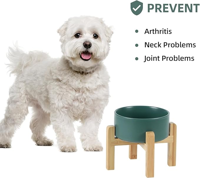 Ceramic Raised Dog and Cat Bowl Set, 2 Heights Elevated Stand, Food and Water Bowl for Small Breed Dogs, Weighted Dog Dishes, Pet Bowl(6.1'',28.7oz, Green)