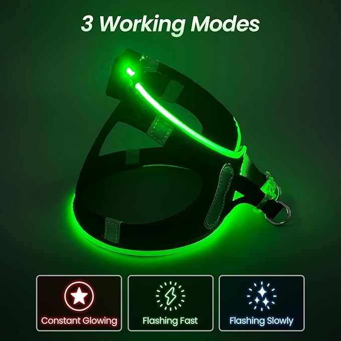 PceoTllar Light Up Dog Harness, LED No Pull Reflective Dog Harness, Flashing Lighted for Night Walking - Small/Medium, (Black Green,xs)