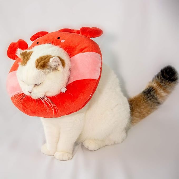 Adjustable Cat Recovery Collar Soft,Cute Pet E-Collar Neck Cone After Surgery Wound Healing Protective Cone Fit for Kitties, Small Dogs(ELC05-lobster-m)