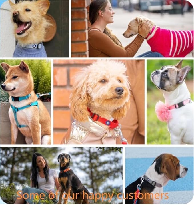 Blueberry Pet Essentials Medium Dog Collar in Baby Pink | Adjustable & Eco-Friendly Durable Nylon Strap | Classic Collar for Medium Dogs, Boy & Girl Pets