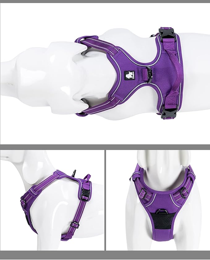 TRUE LOVE Adjustable No-Pull Dog Harness Reflective Pup Vest Harnesses Comfortable Control Brilliant Colors Truelove TLH5651(Purple,XS) Product Name