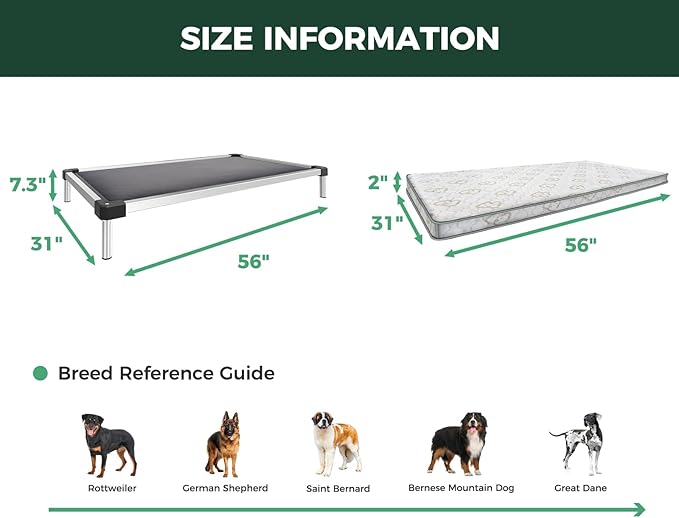FXW TitanNest Chew-Proof Elevated Dog Bed, Raised Cot for Indoor/Outdoor/Camping Use, Durable & Washable Padded Pet Bed with Exclusive Cover for Extra-Large Dogs, 56.0" L x 31.0" W x 7.3" H, Gray
