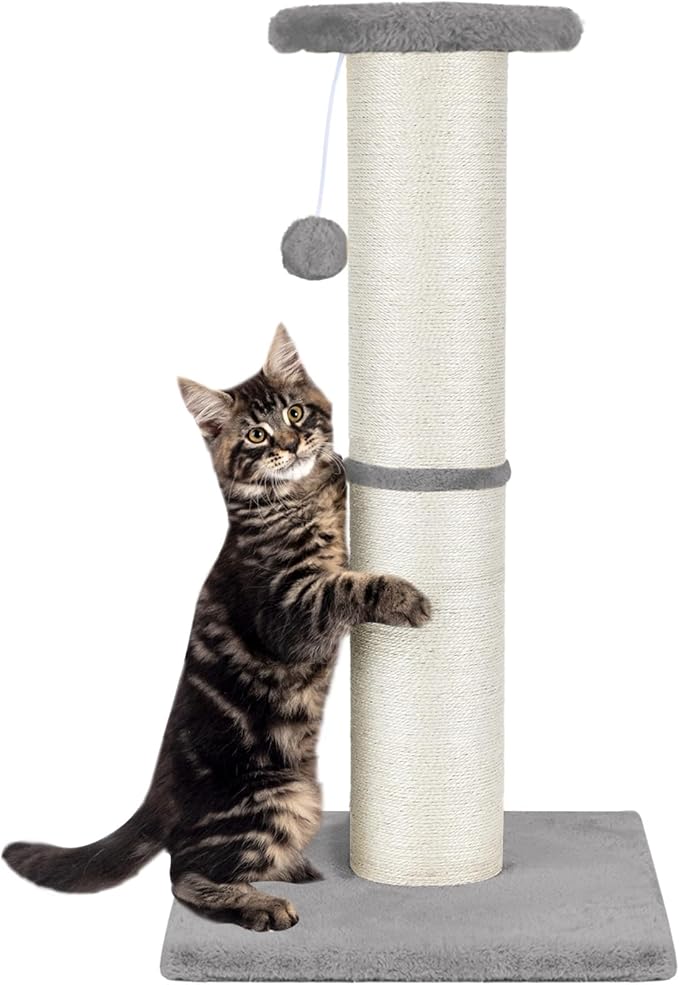 PAWSCRAT Cat Scratching Post 32" Tall, Large Diameter Natural Sisal Cat Scratch Post with Dangling Ball, Scratch-Resistant and Durable for Indoor Cats, Protect Your Furniture, LightGrey