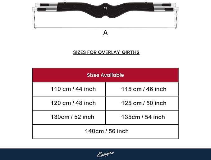 Exion Designer Anatomic Snap Over Lay Girth | Comfortable Leather Horse Girth for English Saddles | Jumping & Riding