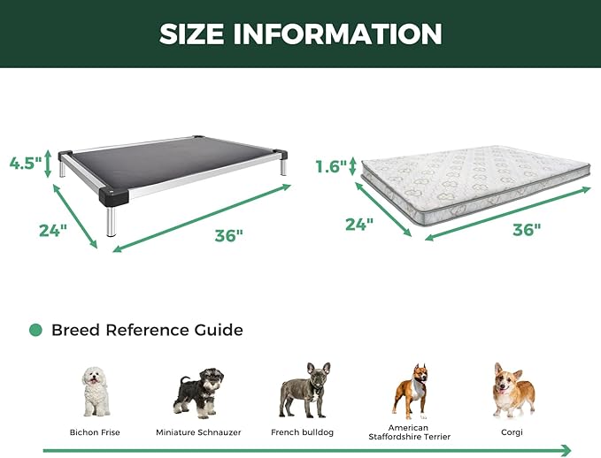 FXW TitanNest Chew-Proof Elevated Dog Bed, Raised Cot for Indoor/Outdoor/Camping Use, Durable & Washable Padded Pet Bed with Exclusive Reuseable Cover for Small Dogs, 36.0" L x 24.0" W x 4.5" H, Gray