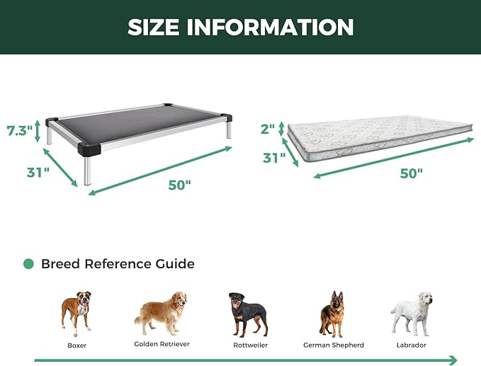 FXW TitanNest Chew-Proof Elevated Dog Bed, Raised Cot for Indoor/Outdoor/Camping Use, Durable & Washable Padded Pet Bed with Exclusive Reuseable Cover for Large Dogs, 50.0" L x 31.0" W x 7.3" H, Gray