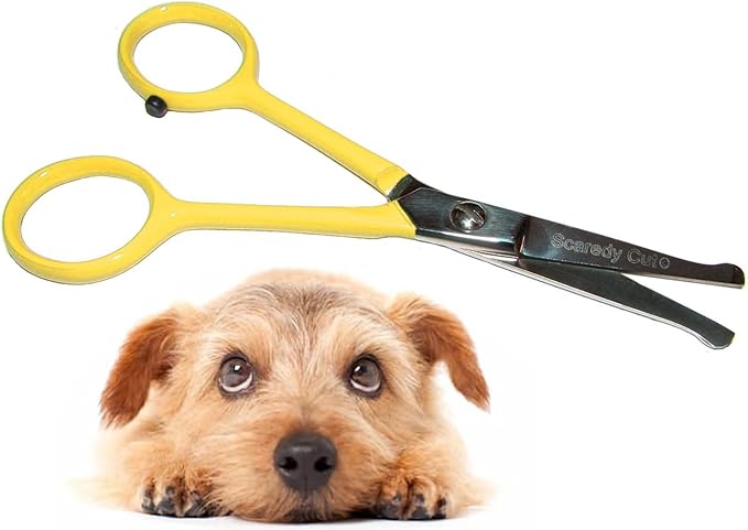 Tiny Trim 4.5" Ball-Tipped Scissor for Dog, Cat and all Pet Grooming - Ear, Nose, Face & Paw - Scaredy Cut's small Safety Scissor Yellow