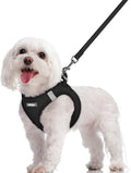 rabbitgoo Dog Harness Small Sized and Leash Set, Step in Soft Light Puppy Vest, Breathable Mesh Pet Harness, Reflective for Safe Easy Walking, Black M