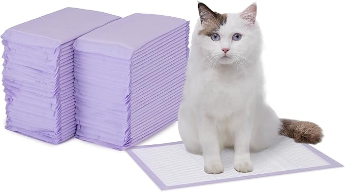 Amazon Basics Cat Pee Pads, 60 Count, Universal Fit for Litter Box, Odor Control, Unscented, White/Purple