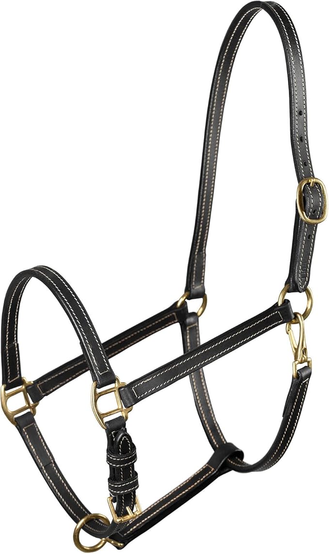 HORZE Fremont Soft Synthetic Leather Horse Halter | Fully Adjustable with Brass Hardware & Contrast Stitching - Black - Cob