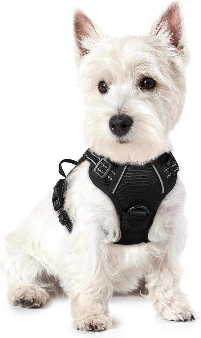 rabbitgoo Dog Harness No Pull with 2 Leash Clips, Adjustable Soft Padded, Reflective Oxford No Choke Pet Vest with Easy Control Handle for Puppy, Black, XS