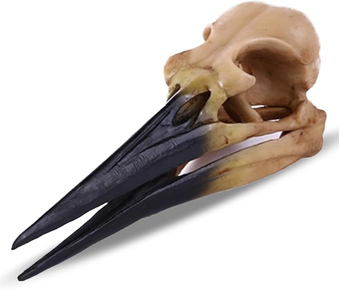 Fish Cave Hideout Ornament Décor for Terrarium Dinosaur Animal Skull Aquarium Large Decorations Betta Tarantula Reptile Snake Decor Bones Halloween