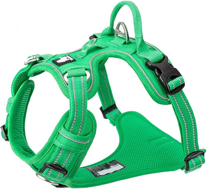 TRUE LOVE Dog Harness No Pull Nylon Reflective Pet Harness Adjustable Comfortable Control Step-in Brilliant Colors Truelove TLH56512 Grass Green