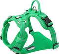 TRUE LOVE Dog Harness No Pull Nylon Reflective Pet Harness Adjustable Comfortable Control Step-in Brilliant Colors Truelove TLH56512 Grass Green
