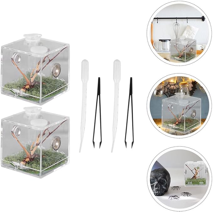 balacoo 8 Sets Jumping Spider Enclosure: Spider Cage Habitat Jumping Terrarium Micro Scorpion Droppers Reptile Hide Clear Enclosure Breeding Box Case with Breeding Tweezers