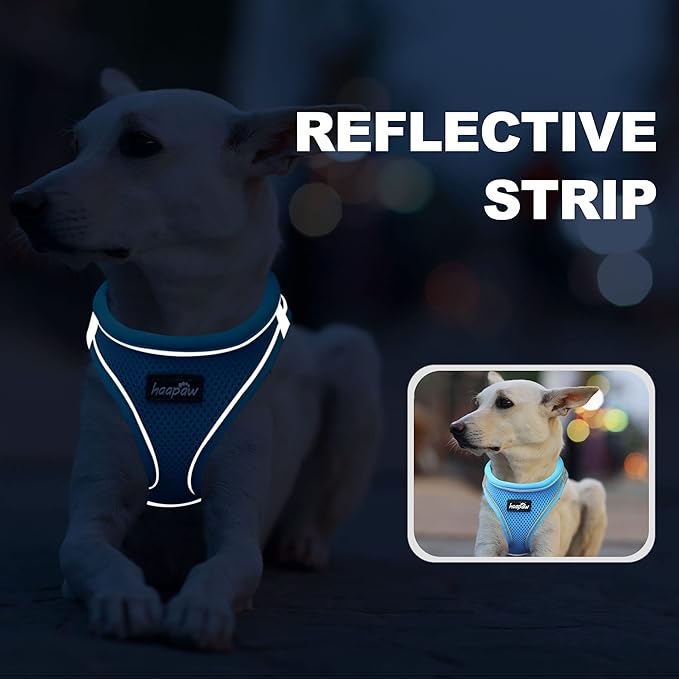 haapaw Dog Harness with Leash Set, No Pull Adjustable Reflective Step-in Puppy Harness with Thickened Padded Vest for Extra-Small/Small Medium Dogs