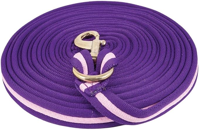 Dura-Tech Cushion Lunge Line for Horses | Stable Use & Horse Training | Horse Lunge Line with Snap | Durable Horse Lead Rope | 30 Foot Length | Replaceable Brass Snap