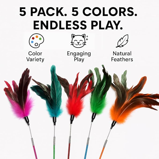 Cat Wand Toy Feather Sticks - 5 Piece Interactive Wands Toy Set with Feathers, Durable Spring Design - Perfect for Engaging Playtime Fun for Kittens and Cats - Cat Toys for Indoor Cats