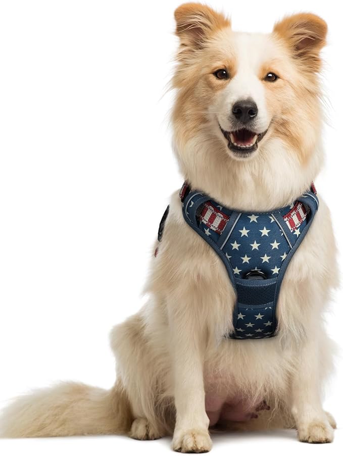 rabbitgoo Dog Harness No Pull with 2 Leash Clips, Adjustable Soft Padded, Reflective Oxford No Choke Pet Vest with Easy Control Handle for Large Dogs, Blue Star, M