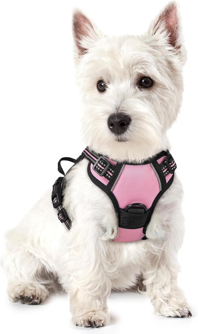 rabbitgoo Dog Harness No Pull with 2 Leash Clips, Adjustable Soft Padded, Reflective Oxford No Choke Pet Vest with Easy Control Handle for Puppy, Pink, XS
