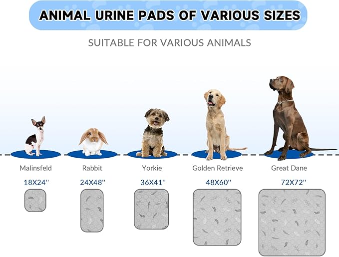 Sunheir Washable Pee Mats for Dogs - Large 48" x 48" 2-Pack Reusable Puppy Pads, Absorb Dog Mats, Whelping Pad, Non-Slip, Protects Urine Leakage (Light Grey, 48x48)