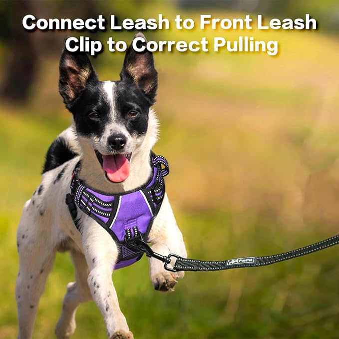 PoyPet No Pull Dog Harness, No Choke Front Clip Reflective Dog Vest with Soft Padded Vertical Handle, 3 Leash Attachments for Small Medium Large Dogs (Purple,L)